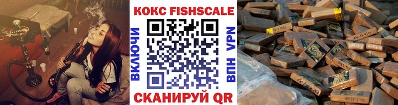 КОКАИН Fish Scale  Купить закладки  Елизаветинская 