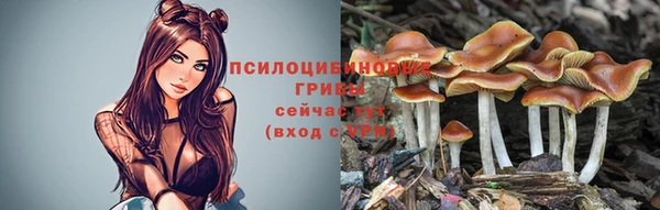 круглые Верея